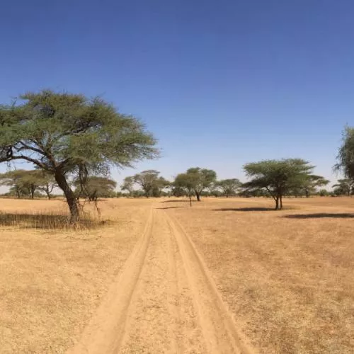 Gordon raid Sénégal 2017