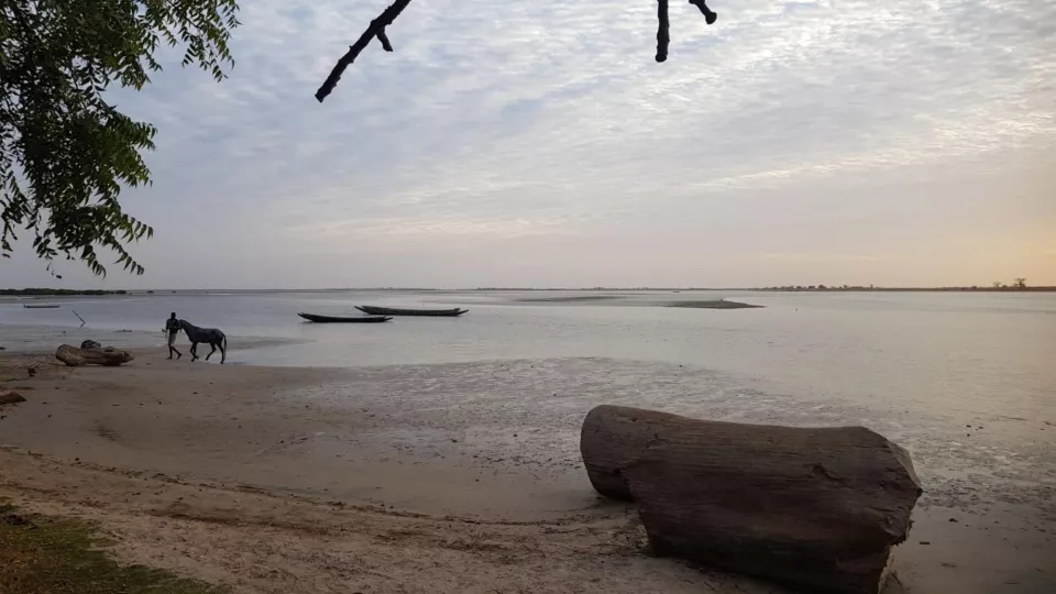Gordon Raid Sénégal 2019