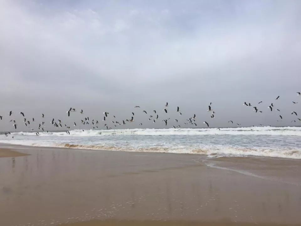 Gordon Raid Sénégal 2019