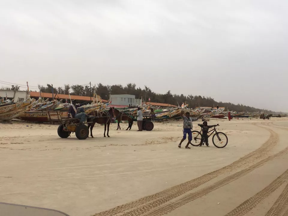 Gordon Raid Sénégal 2019