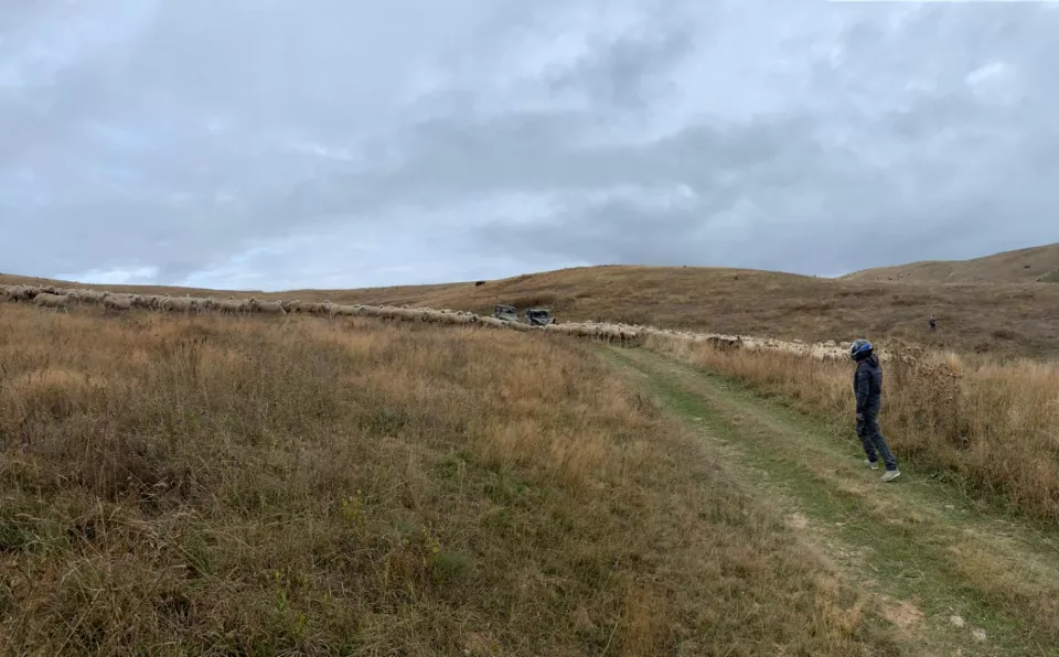 Gordon raid Macédoine 2019
